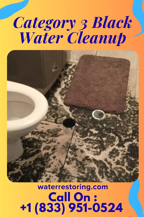 Category 3 Black Water Cleanup in Albany, KY