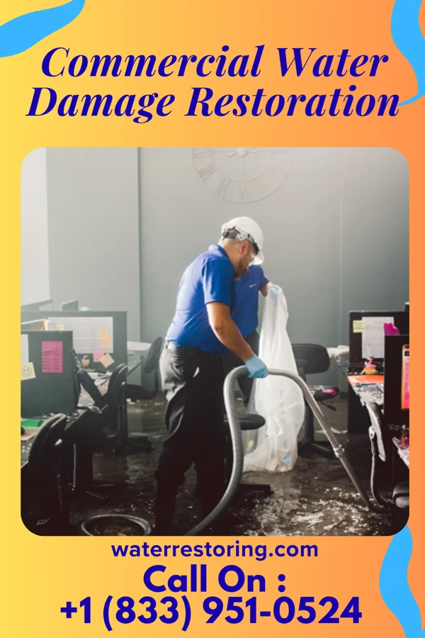 Commercial Water Damage Restoration in Albany, KY