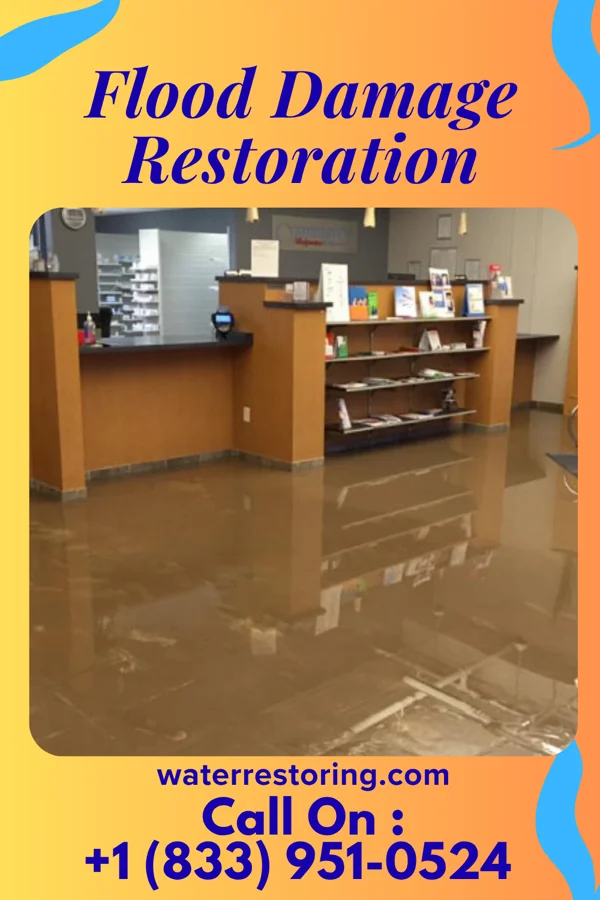 Flood Damage Restoration in Albany, KY